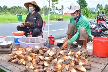 Dừa nước ngọt ngào 