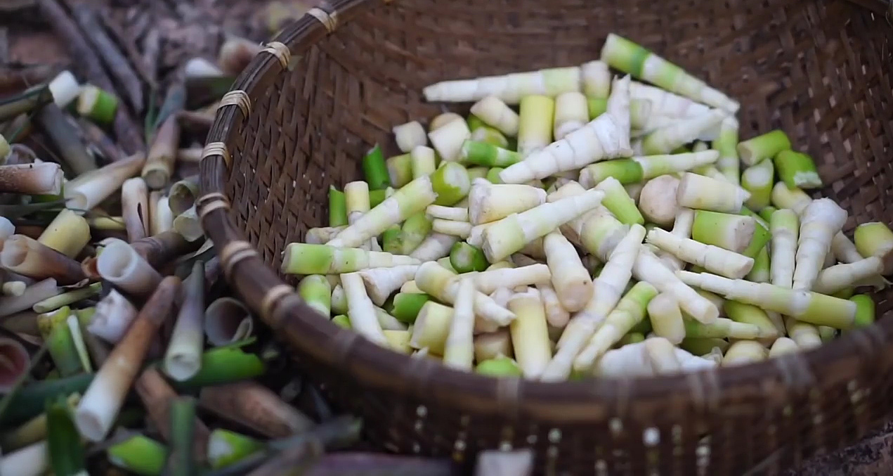 Măng Rừng - Chillout Shop